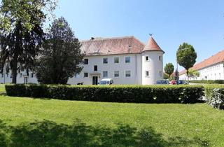 Wohnung mieten in Franz-Schuhmeier-Straße, 4400 Steyr, Eine umfassend sanierte 2 Zimmer-Wohnung mit tollem Grundriss, praktischem Abstellraum und sehr schönem Badezimmer wartet auf Sie! Sofort verfügbar!