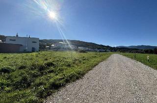 Grundstück zu kaufen in 4553 Schlierbach, Baugrundstücke in der Hofwiese - Schlierbach