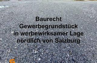  in 5102 Anthering, Baurecht: Gewerbegrundstück in werbewirksamer Lage nördlich von Salzburg
