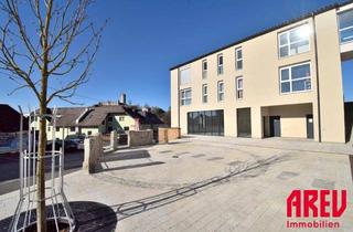 Gewerbeimmobilie mieten in Waxenberg 14, 4182 Waxenberg, GENUG PLATZ FÜR ALL IHRE SACHEN - LAGERRAUM IN WAXENBERG ZU VERMIETEN