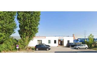 Immobilie mieten in Schulgasse, 2326 Lanzendorf, Kompaktes ebenerdiges Bürogebäude im Mischbaugebiet