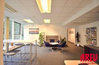 Büro zu mieten in Blumauerstraße 41-43, 4020 Linz, MODERNE GROSSZÜGIGE BÜROFLÄCHE IN ZENTRALER LAGE - 1.OG