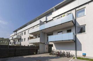 Wohnung mieten in Wiener Straße 66, 3133 Traismauer, Schöne Balkonwohnung mit Fernblick