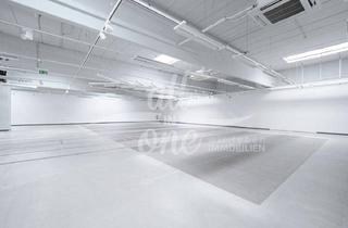 Büro zu mieten in 9020 Klagenfurt, Ehemaliges Nike-Outlet – flexible Geschäftsfläche mit Lager & Büro im Businesspark Viktring