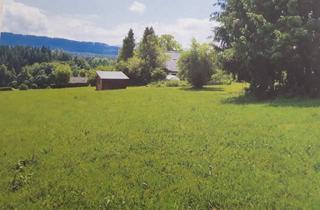 Grundstück zu kaufen in 9535 Schiefling, Sonniger Baugrund in Schiefling am Wörthersee