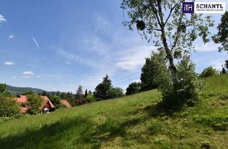 Grundstück zu kaufen in Rannachstraße, 8046 Graz, WORAUF WARTEN! TRAUMHAFTER BAUGRUND Graz-St. Veit in absoluter Ruhelage! In einer Sackgasse gelegen und von der grünen Natur umgeben - SENSATIONELLER AUSBLICK! Jetzt anfragen und Details anfordern!