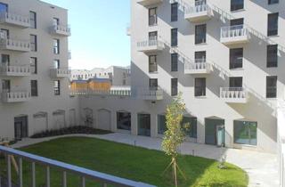 Wohnung mieten in Am Steinfeld 19, 8020 Graz, Q5 am PARK 3ZI ruhige Innenhoflage, sonniger West/Balkon