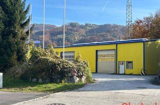 Gewerbeimmobilie kaufen in 4452 Ternberg, Bertriebshalle in Ternberg
