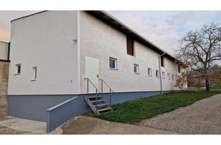 Gewerbeimmobilie mieten in 2404 Petronell-Carnuntum, NEU SANIERTE LAGERRÄUME – 226 m² IN PETRONELL-CARNUNTUM