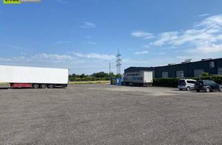 Gewerbeimmobilie mieten in 2333 Leopoldsdorf, bis zu 2500m² Abstellfläche oder Stellplätze für LKW oder Bus mit geräumiger Umkehrmöglichkeit zur Vermietung "Super Lage" Nähe zur Autobahnauffahrt S1