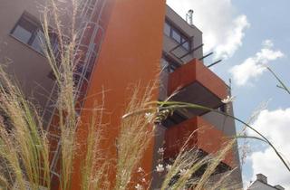 Büro zu mieten in Degengasse 62, 1160 Wien, repräsentatives Büro in 1160 - komplett möbliert, voll verkabelt