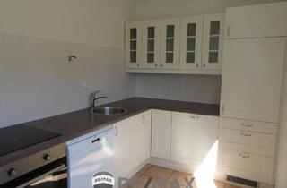 Loft mieten in 2344 Maria Enzersdorf, "Singles oder Paar aufgepasst!"