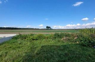 Doppelhaushälfte kaufen in 7522 Strem, Ankommen und wohlfühlen – Doppelhaushälfte in schöner Lage, belagsfertig