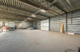 Büro zu mieten in 2482 Münchendorf, Hallenfläche 546 m² + 150m² Büro + 90m² Nebenräume