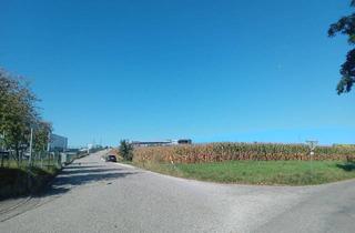 Grundstück zu kaufen in 4912 Neuhofen im Innkreis, Grundstück mit Widmung "MB" (eingeschränktes gemischtes Baugebiet) in Neuhofen im Innkreis