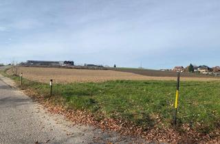 Grundstück zu kaufen in 4912 Neuhofen im Innkreis, Grundstück mit Widmung "MB" (eingeschränktes gemischtes Baugebiet) in Neuhofen im Innkreis