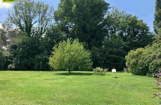 Grundstück zu kaufen in 2483 Ebreichsdorf, Neuer Baugrund – Raum zum Leben oder für Ihr Wohnbauprojekt