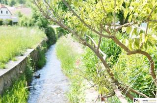 Grundstück zu kaufen in Tauchen, 7433 Mariasdorf, 1,2 Hektar Grundstück für die Erholung/Selbstversorgung bei Bad Tatzmannsdorf