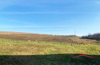 Grundstück zu kaufen in Talgasse, 2193 Wilfersdorf, EINMALIGE GELEGENHEIT - Großes sonniges Grundstück und 2 große Ackerflächen!