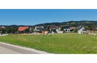 Grundstück zu kaufen in 7083 Purbach am Neusiedler See, RUHIG GELEGEN - 551 M2 - EINER VON VIER BAUPLÄTZEN