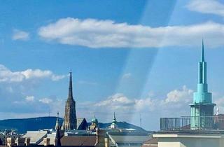 Maisonette mieten in Schwarzenbergplatz, 1010 Wien, 360° TOUR // DACHGESCHOßWOHNUNG im PALAIS FANTO