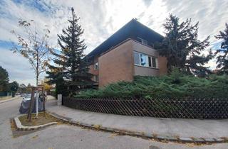 Wohnung mieten in Mozartstrasse 41, 2500 Baden, Wunderschöne Wohnung in Villengegend Badens