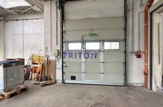 Büro zu mieten in 2752 Wöllersdorf, Gewerbe- & Lagerflächen in Wöllersdorf