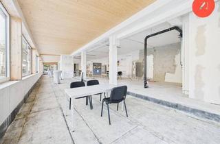 Büro zu mieten in Am Breitenstrein, 4202 Kirchschlag bei Linz, *Über der Nebelgrenze* Gewerbefläche mit viel Gestaltungsfreiheit mit Blick ins Grüne