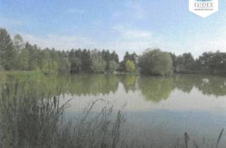 Agrarfläche kaufen in 8263 Großwilfersdorf, Teichanlage inmitten herrlicher Natur