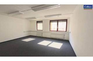 Büro zu mieten in Schönngasse, 1020 Wien, Klimatisiertes Büro nähe Messe-Prater