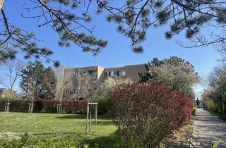 Wohnung kaufen in 2500 Baden, BADEN BEI WIEN: 4-Zimmer Wohnung (bezugsfertig!) mit Loggia und Garage in guter Lage!!