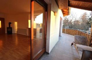 Wohnung mieten in 2231 Strasshof an der Nordbahn, GARTENBLICK Strasshof mit TERRASSE, Abendsonne