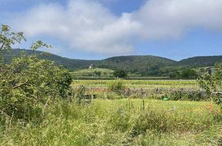 Grundstück zu kaufen in 2504 Sooß, Traumhaftes Baugrundstück (2.059 Quadratmeter) in Sooß für Ihr neues Eigenheim