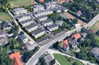 Wohnung mieten in 2551 Enzesfeld-Lindabrunn, Schöne 2-Zimmerwohnung in Grünlage mit Dachterrasse - ENZESFELD