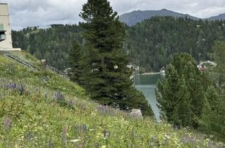 Hotel kaufen in Turracherhöhe, 9565 Turracherhöhe, Turracher Höhe - Ein Grundstück mit Seltenheitswert - ideal für eine hochwertige touristische Entwicklung. Baugrundstück für eine Apartmentanlage - DIREKT bei der Piste und der Talstation "Panoramabahn"