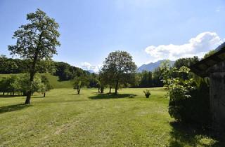 Grundstück zu kaufen in 6820 Frastanz, Seltene Gelegenheit in Gampelün!