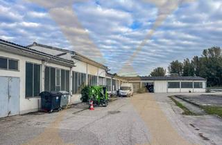 Gewerbeimmobilie mieten in 4020 Linz, Lagerhalle mit optionaler Freifläche in Linz – befristet auf 1 Jahr zu vermieten!