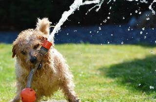 Wohnung kaufen in 6800 Feldkirch, Jetzt bezugsfertig! | Wunderschöne 4-Zimmer-Eck-Garten-Wohnung in Gisingen-Kapfstraße 56 zu verkaufen!