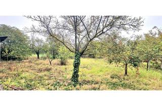 Grundstück zu kaufen in 7122 Gols, Doppelgrundstück möglich !!!