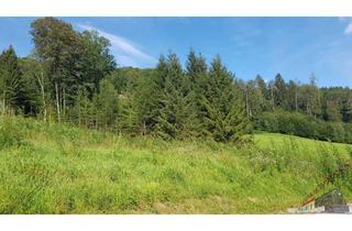 Grundstück zu kaufen in 3153 Rotheau, Bezirk Lilienfeld – Grundstück in 3153 Rotheau – Ruhelage mit Aussicht !