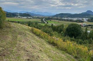 Gewerbeimmobilie kaufen in 9300 Sankt Veit an der Glan, 2,7 Ha Land- und Forstw. -Grundstück mit Widmungpotenzial , zzt Pferde Weide mit Stall & Quelle, in traumhafter Lage in Kärnten - für 249.000,00 € zu haben!