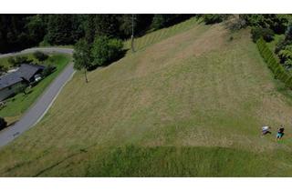 Grundstück zu kaufen in 9433 Sankt Andrä, GRUNDSTÜCK IN HANGLAGE MIT FANTASTISCHEN AUSBLICK - KEINE BAUVERPFLICHTUNG !