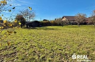 Grundstück zu kaufen in 4632 Pichl bei Wels, Großzügiges Baugrundstück in Pichl bei Wels