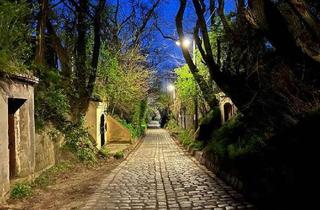 Immobilie kaufen in 1210 Wien, WEINKELLER