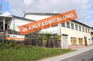 Gewerbeimmobilie kaufen in 7501 Oberdorf im Burgenland, Nähe Oberwart: Große Halle/Gewerbeobjekt mit viel Nutzfläche!