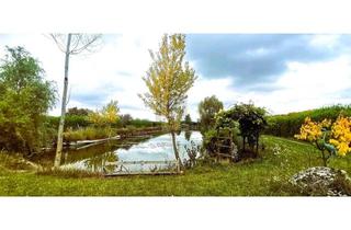 Grundstück zu kaufen in 7064 Oslip, ENTSPANNUNG PUR - FISCHTEICH MIT HÜTTE UND STREUOBSTWIESE