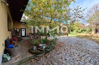 Grundstück zu kaufen in Stammersdorferstrasse, 1210 Wien, Winzerhof-Grundstück mit Entwicklungspotenzial in Stammersdorf; Laut Studie 1.550m² erzielbare Wohnnutzfläche möglich