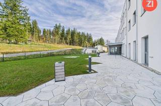 Gewerbeimmobilie kaufen in Am Breitenstrein, 4202 Kirchschlag bei Linz, *Über der Nebelgrenze* Gewerbefläche mit viel Gestaltungsfreiheit mit Blick ins Grüne