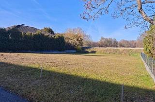 Grundstück zu kaufen in 3950 Gmünd, Günstiger, sonniger Baugrund in der Nähe von Gmünd/NÖ