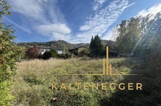 Grundstück zu kaufen in 3422 Greifenstein, 1.045 m² großer Baugrund – 3422 Altenberg, Badesiedlung